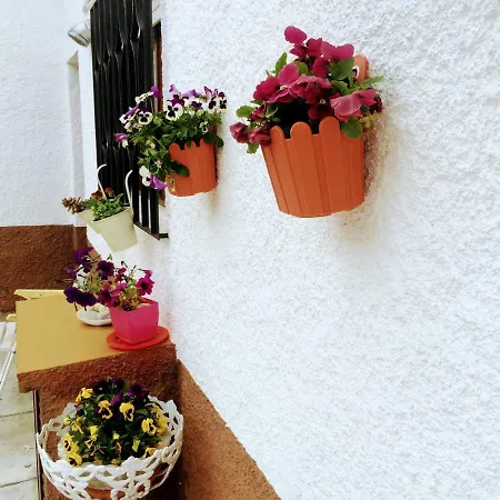 Villa Casa De Ferias Mariceu Mirandela Exterior foto