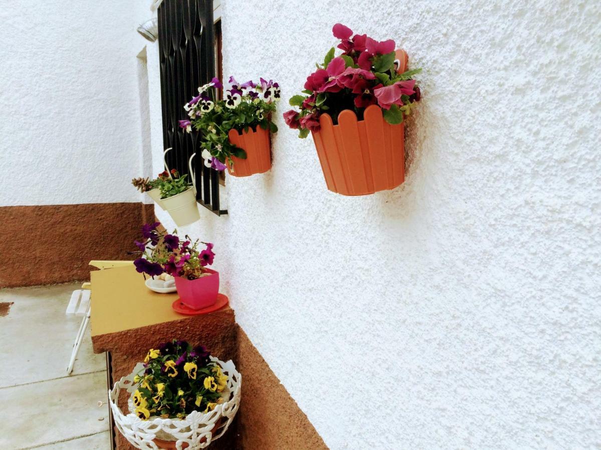 Casa De Ferias Mariceu Holiday home *