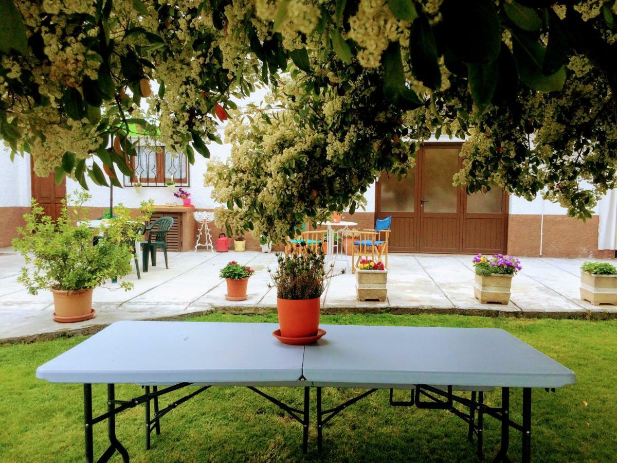 Casa De Ferias Mariceu Holiday home Mirandela
