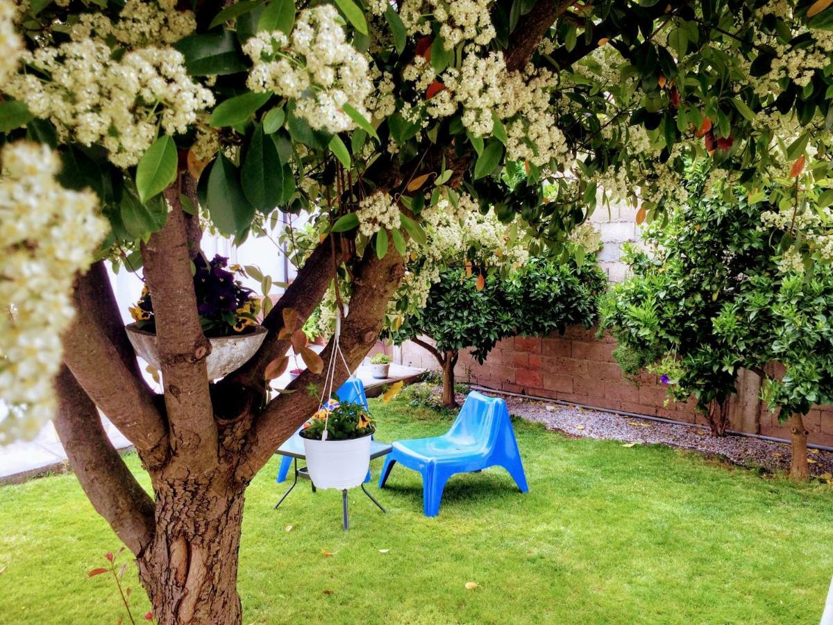 Holiday home Casa De Ferias Mariceu Mirandela